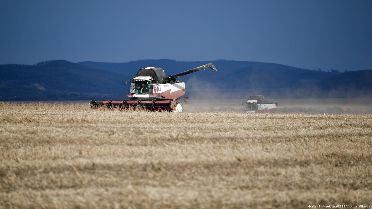 Kazakhstan prevents illegal transportation of Russian wheat into Uzbekistan via its territory