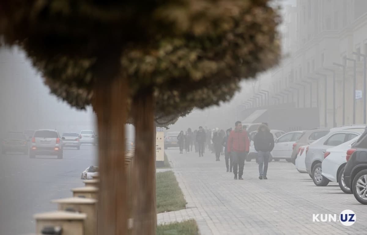 Tashkent among cities with worst air quality