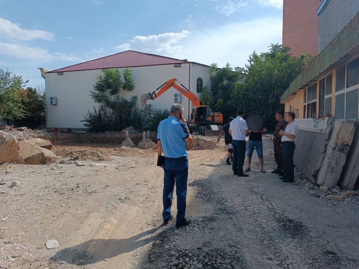Navoiyda 3 tup daraxtni kesgan rahbar tabiatga 92 mln so‘m zarar yetkazdi