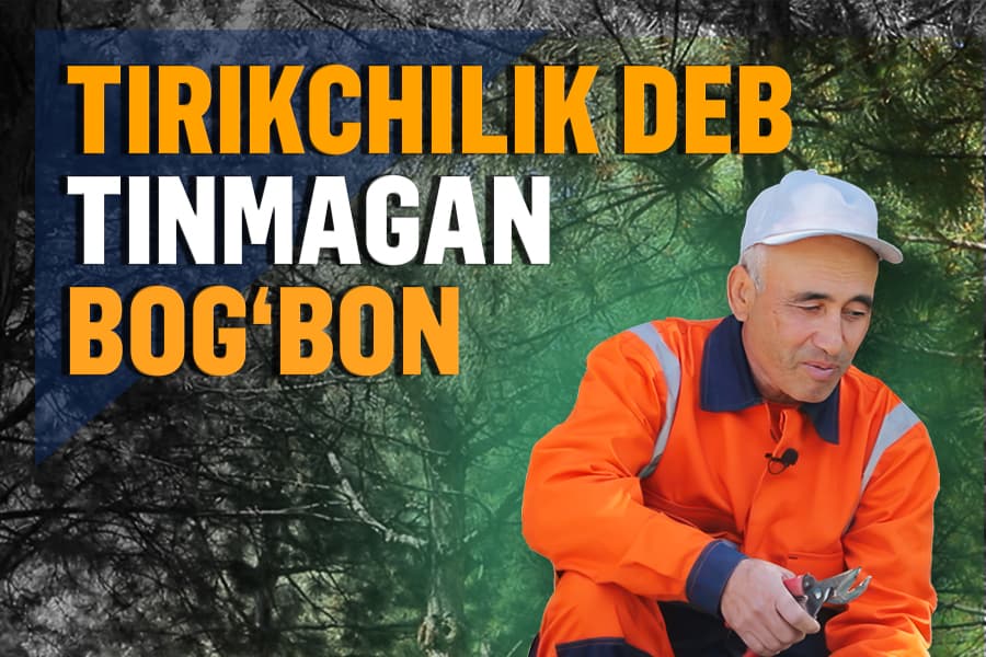 “Halollik bilan hamma narsaga erishish mumkin” - bog‘bonlik ortidan Toshkentdan uy olgan ota hikoyasi