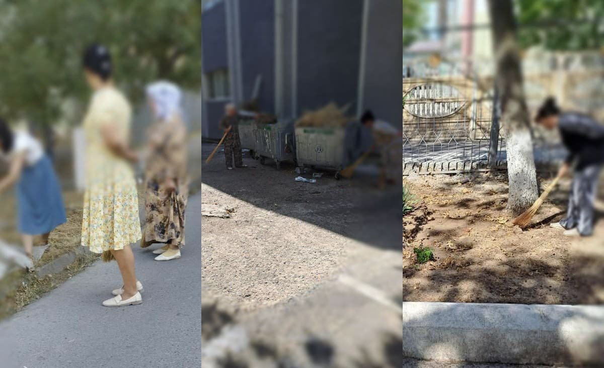 Toshkentda o‘qituvchilarni majburiy mehnatga jalb qilgan maktab direktori jazolandi