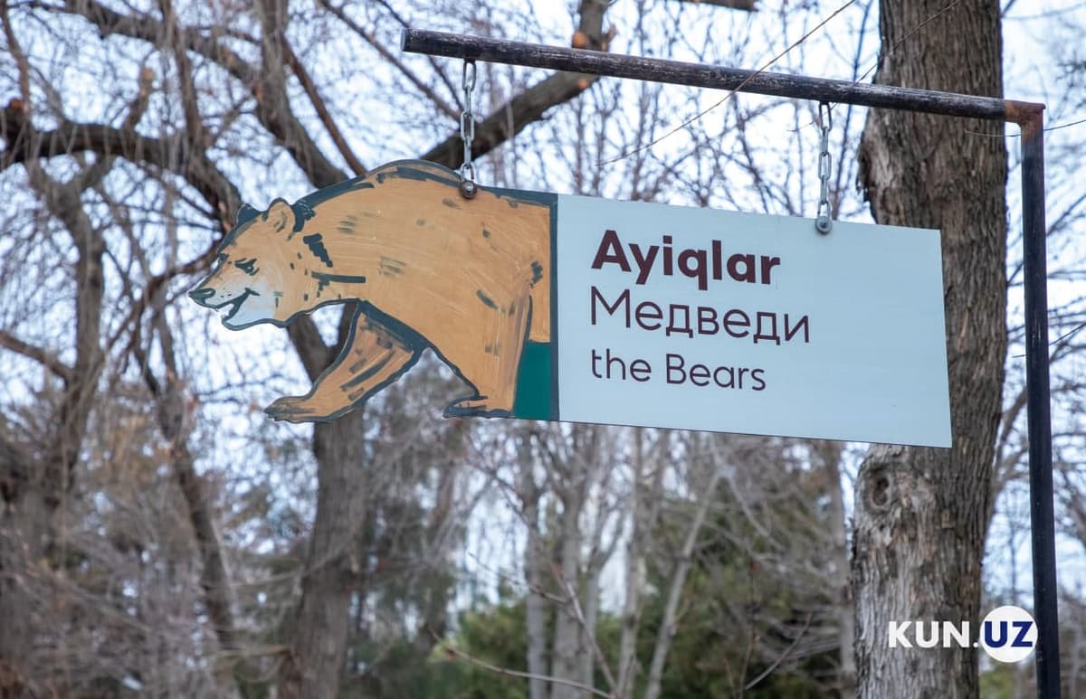 В частном зоопарке в Андижане медведь загрыз служащего