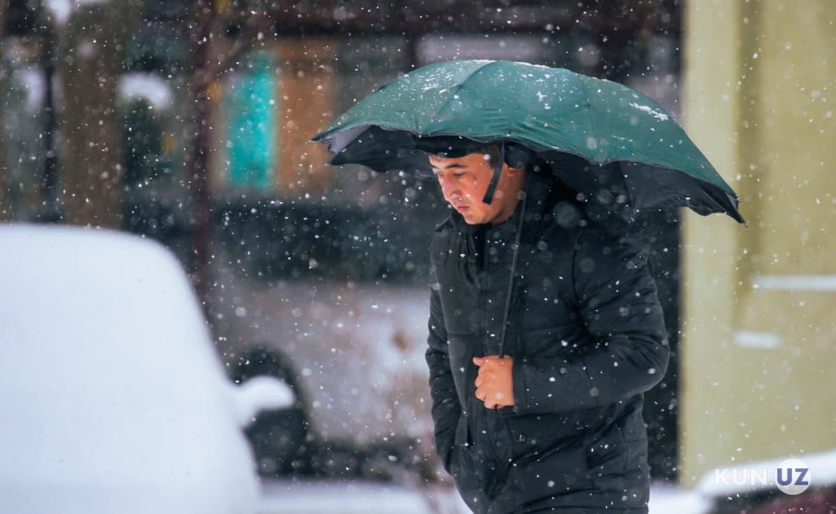 “Yuksalish” movement urges employers to switch to remote work during abnormal frost period