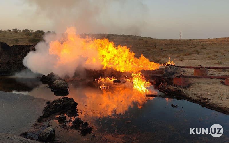 Information provided on ownership of oil and gas fields in Uzbekistan