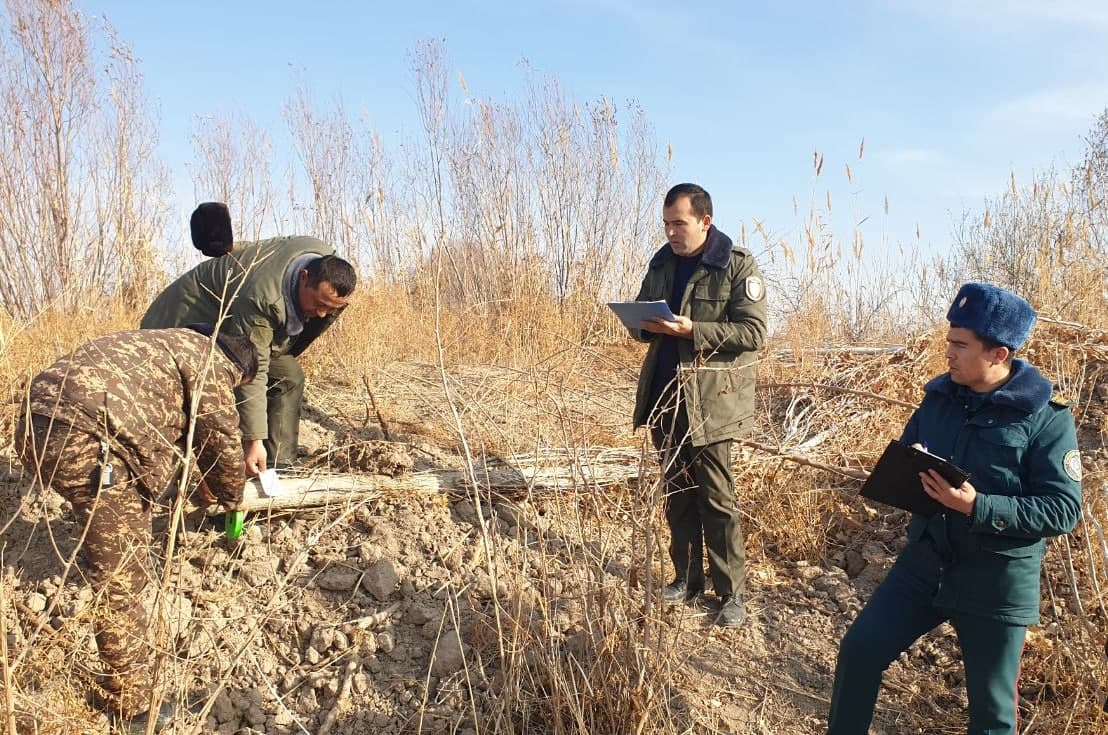 Xorazmda daraxt kesgan fermerga nisbatan ozodlikni çeklaş jazosi tayinlandi