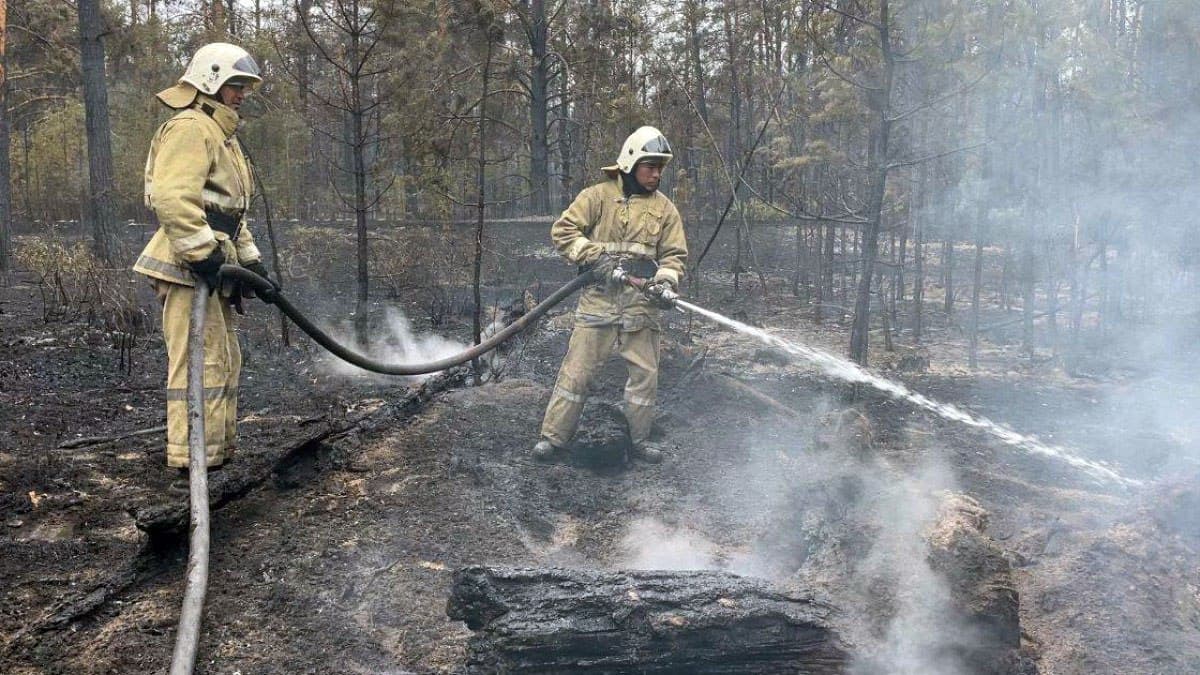 Uzbekistan expresses its readiness to help Kazakhstan fight against forest fires
