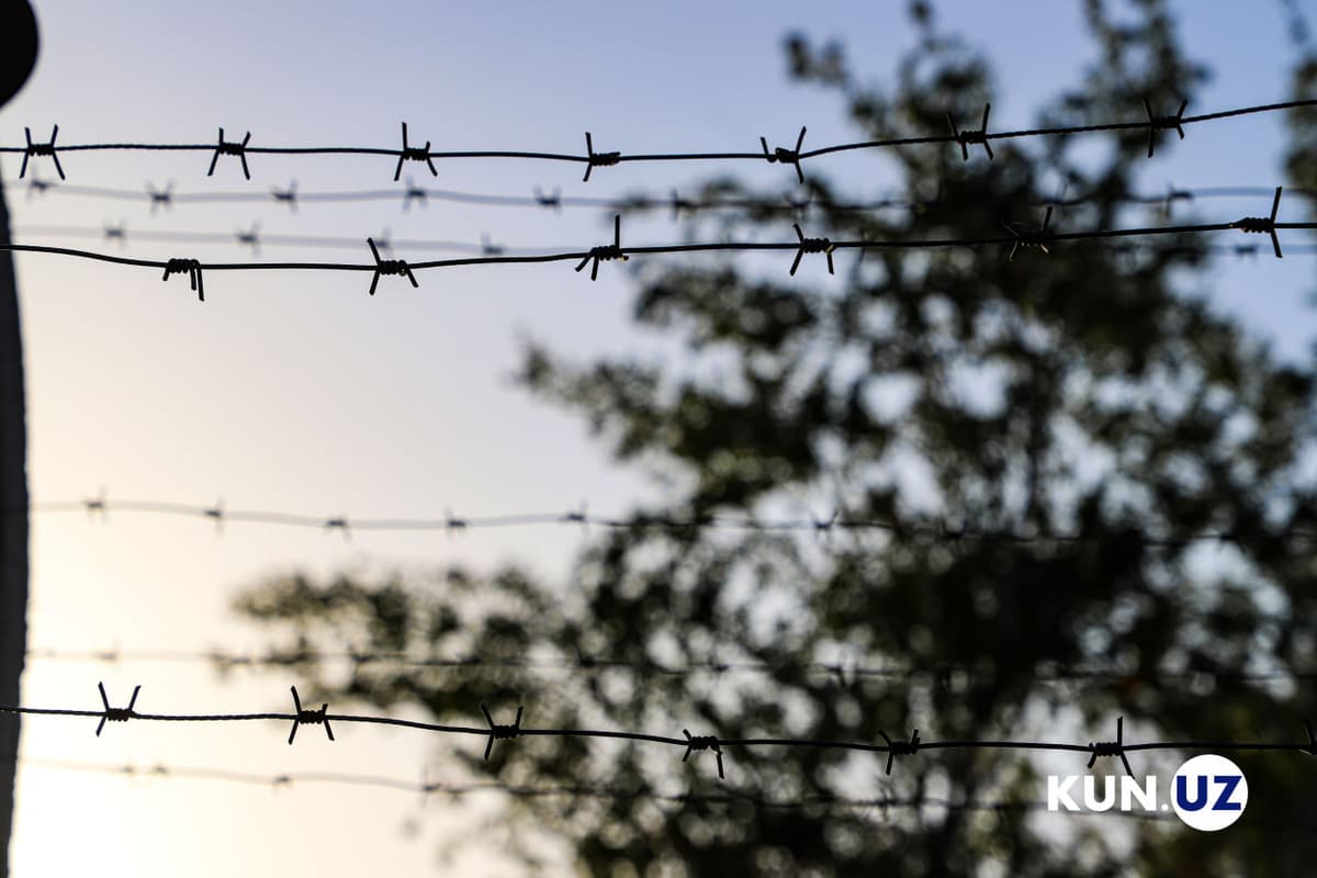 11 prisoners serving sentences in Tashkent released early