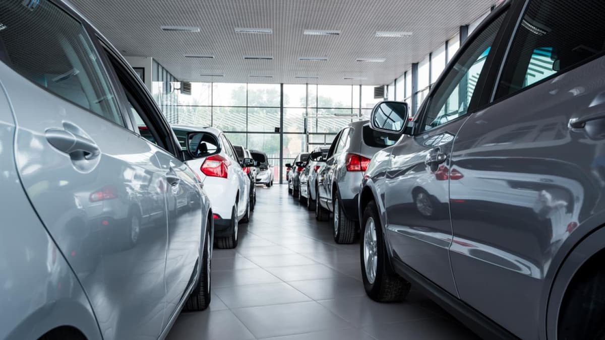 Customs fees for certain categories of cars being drastically reduced
