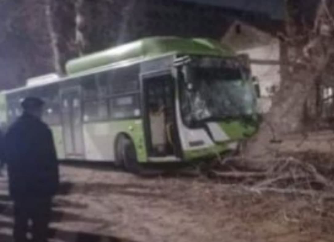 Sergelida yo‘lovchi avtobusi yarim tunda daraxtga kelib urildi