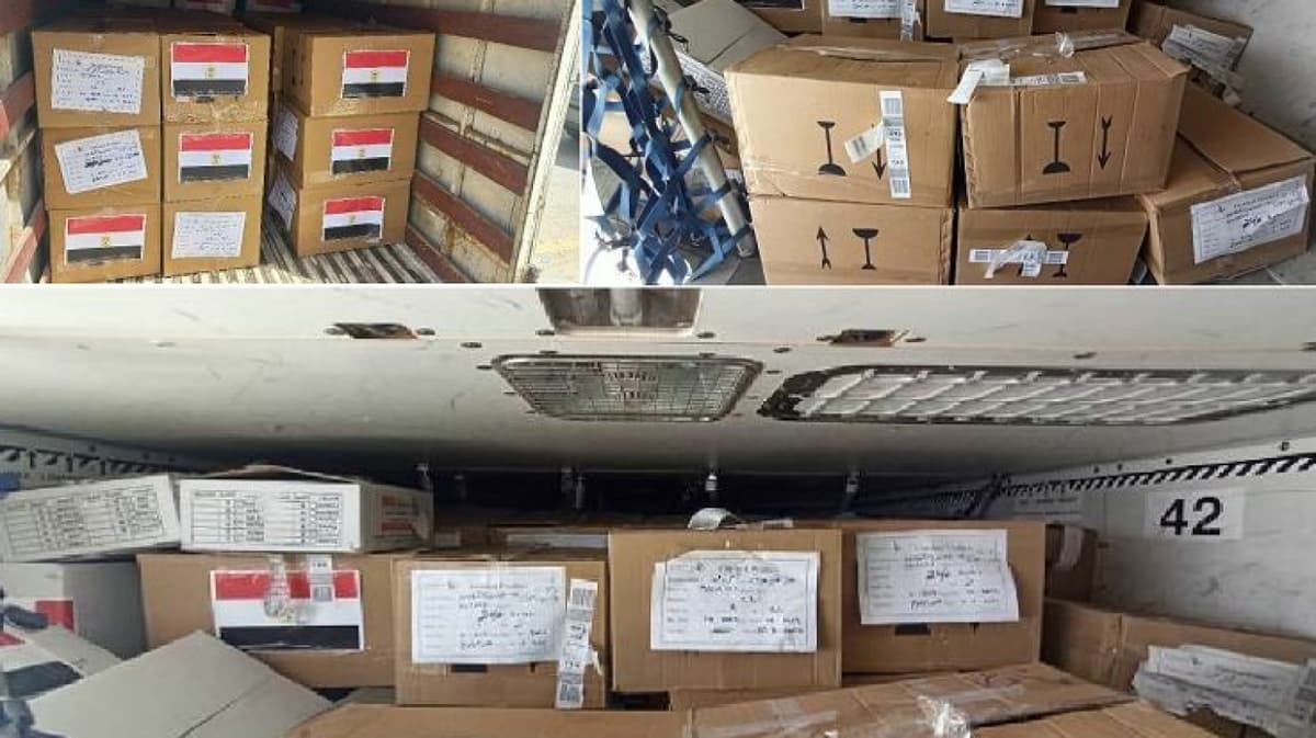 Egypt delivers 2nd batch of anti-hepatitis drugs to Uzbekistan