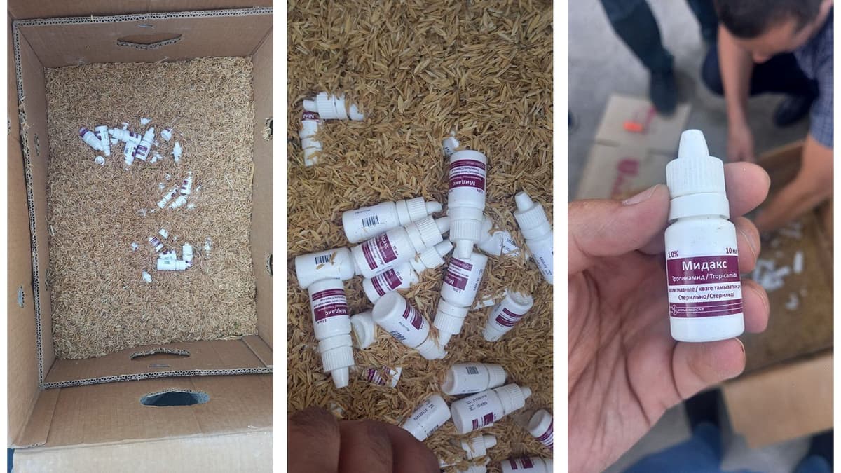 Toshkentda kuchli ta’sir qiluvchi dori vositalarini tovuqlar ostiga yashirgan shaxs qo‘lga olindi