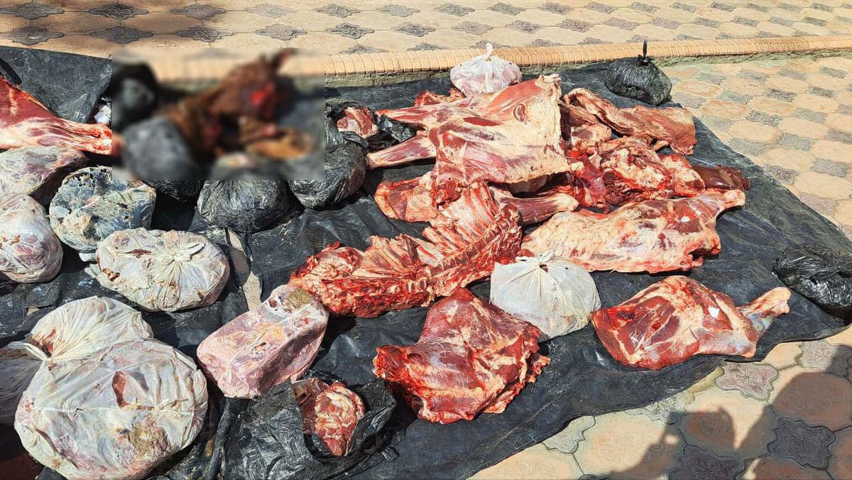 Buxorodan Toşkentga olib ketilayotgan 1 tonna göşt yöq qilindi