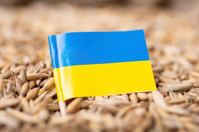 Polşa va Vengriya Ukrainadan ğalla olib kirişni taqiqladi