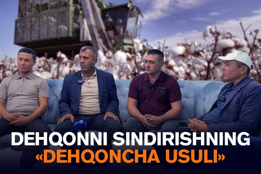 Qashqadaryoda fermerlarning oqarayotgan kosasiga chang solinyapti