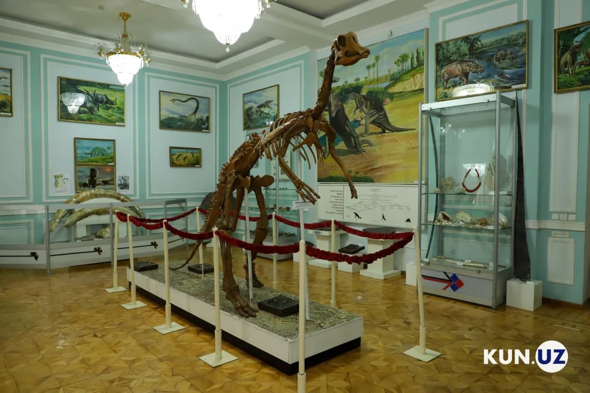 Сколько музеев функционирует в Узбекистане?