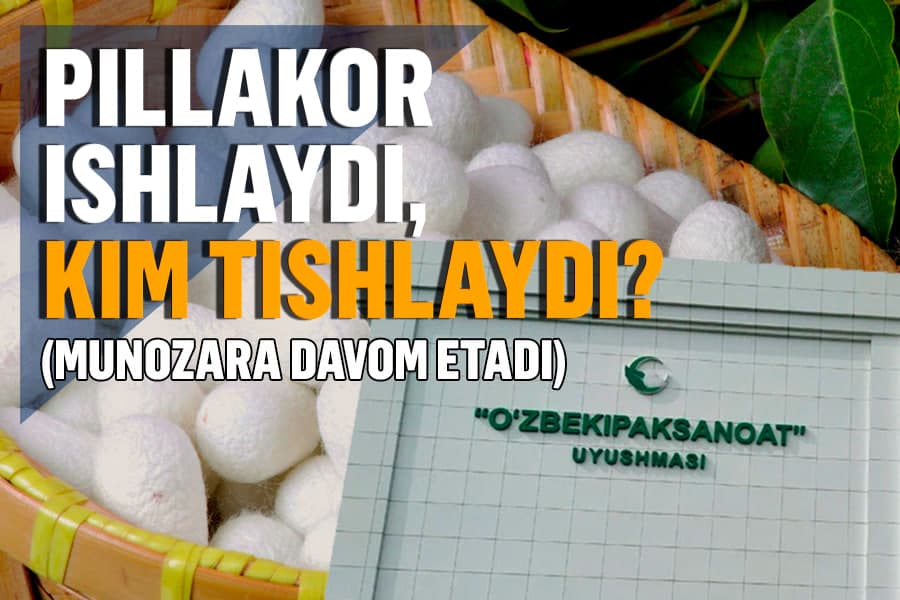 Nomsiz muallif kimning manfaatlarini himoya qilmoqda: ipakchilik sohasinimi yoki “O‘zbekipaksanoat”ni?