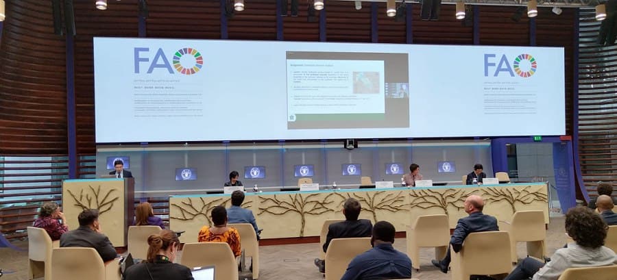 FAO global tashabbusi doirasidagi ilk loyihalar O‘zbekistonda amalga oshiriladi