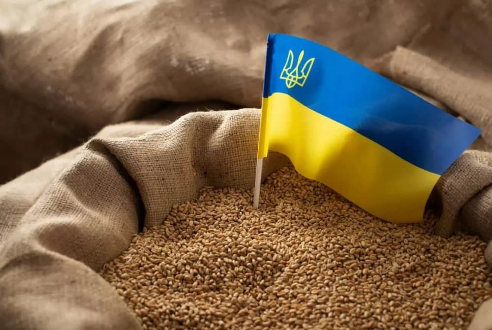 YeI oyiga 4 mln tonna Ukraina g‘allasini eksport qilishi mumkin