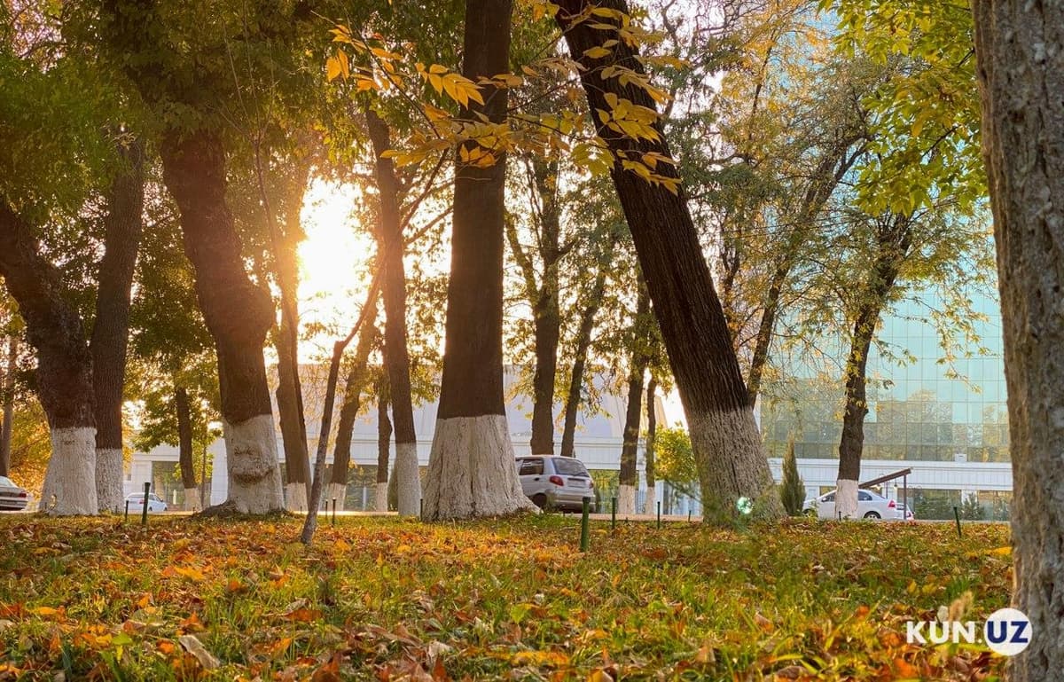 Ўзбекистонда 30 октябр куни ҳарорат 30 даражагача кўтарилади
