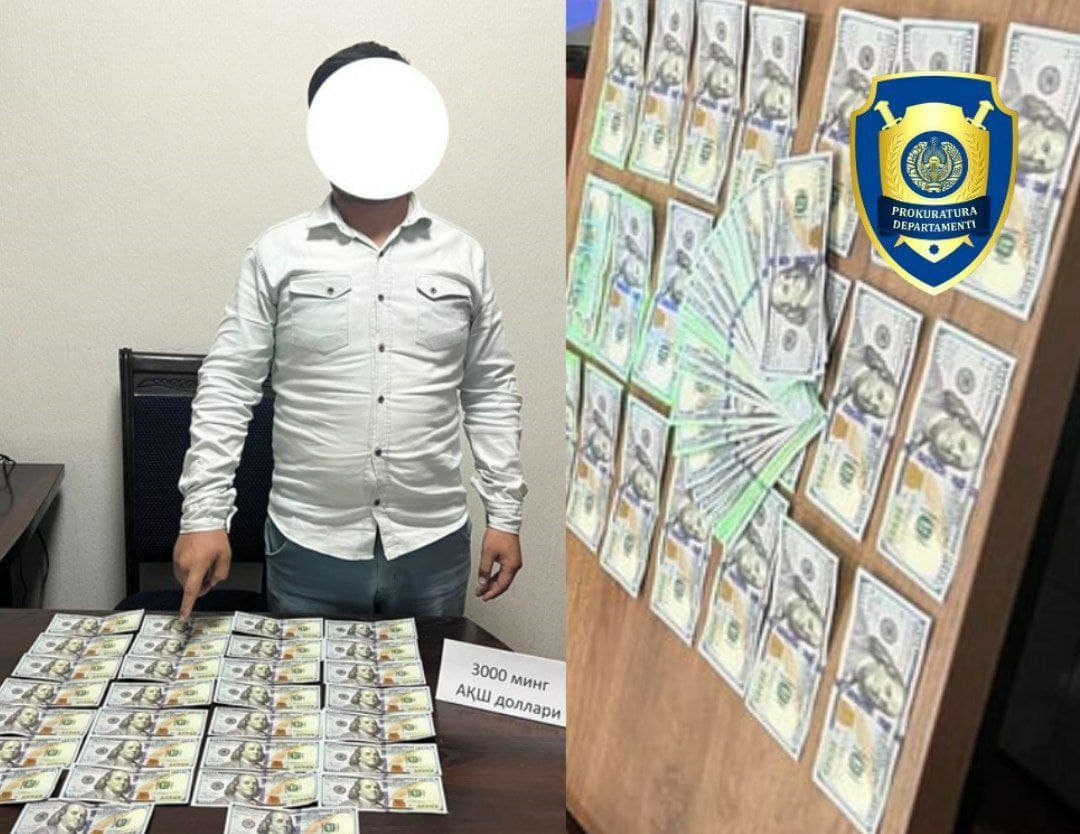 Law enforcement officers detain fraudsters illegally sending Uzbeks to the US